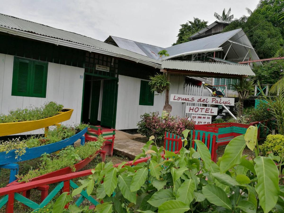 Hotel Lomas Del Paiyue Puerto Nariño Екстериор снимка